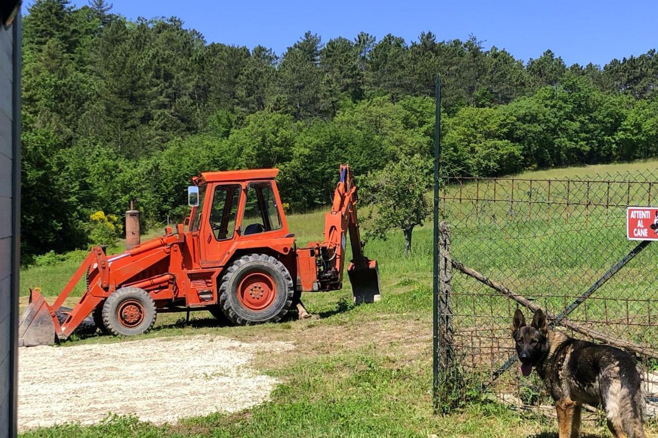 Podere Badia Valdrago Agriturismo Mugello Circuit Σκαρπερία Εξωτερικό φωτογραφία