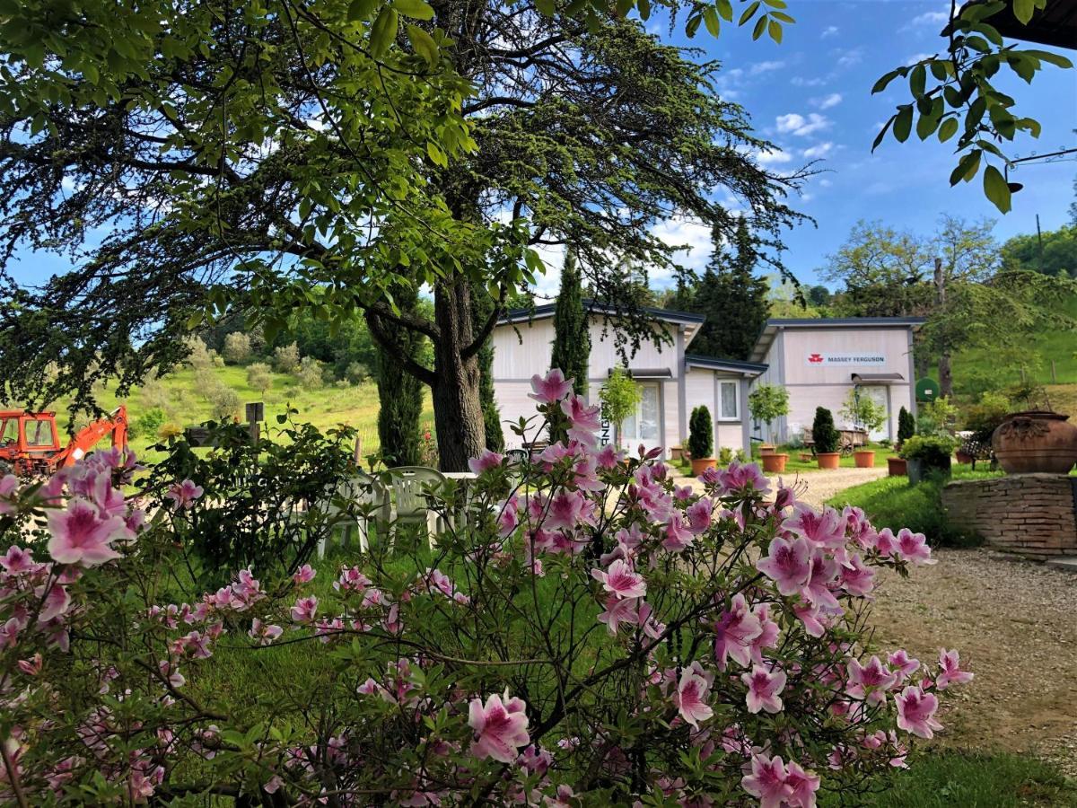 Podere Badia Valdrago Agriturismo Mugello Circuit Σκαρπερία Εξωτερικό φωτογραφία